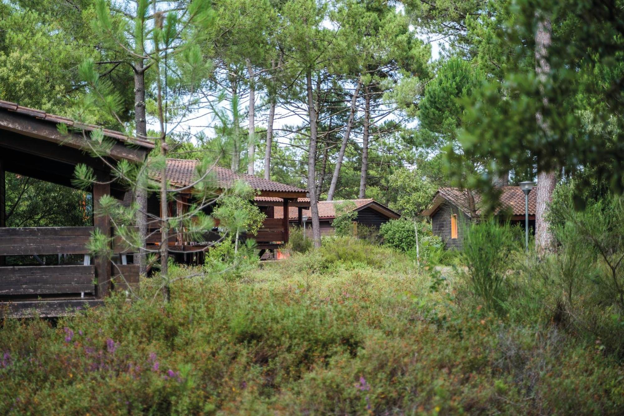 Residence Les Sentes Carcans Exterior foto